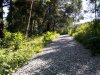 IMG_20190813_145444.jpg