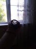 IMG_20190815_160131.jpg