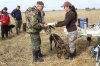 Хакаские республиканские-испытания и выставка охотничьих собак 040.JPG