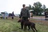 Хакаские республиканские-испытания и выставка охотничьих собак 133.JPG