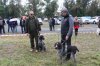 Хакаские республиканские-испытания и выставка охотничьих собак 141.JPG