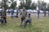 Хакаские республиканские-испытания и выставка охотничьих собак 166.JPG