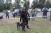 Хакаские республиканские-испытания и выставка охотничьих собак 188.JPG