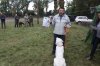 Хакаские республиканские-испытания и выставка охотничьих собак 318.JPG