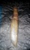 IMG-20190917-WA0002.jpg