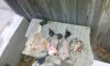 IMG-20190921-WA0023.jpg
