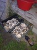20190821_205524.jpg