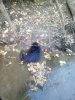 IMG_20190910_183743.jpg