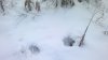 2013-12-11-537.jpg