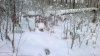 2013-12-11-535.jpg