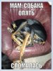 Безымянный.jpg