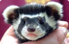 2468_html_5e248a88.png