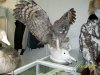 100_2037.jpg