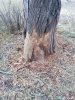 IMG-20191014-WA0001.jpg