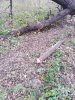 IMG-20191014-WA0002.jpg