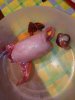 IMG_20191016_191646.jpg