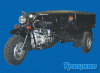 trike_01.gif