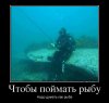 15192524_chtobyi-pojmat-ryibu.jpg