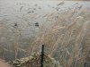 IMG_20191104_104934.jpg