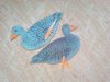 IMG_20191102_083440.jpg