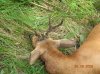 DSCN4894.JPG