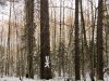 IMG_2350.JPG
