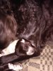IMG_20191203_080328.jpg