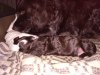 IMG_20191203_080046.jpg