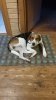 IMG-20191103-WA0001.jpeg