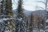 IMG_1102.JPG