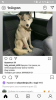 Screenshot_2019-12-28-00-41-33.png