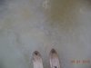DSC02359.JPG