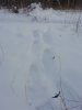 IMG_20191219_110846.jpg