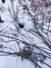 IMG-20200111-WA0002.jpg