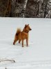 IMG-20200115-WA0020.jpg