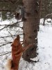 прогулка 3.jpg