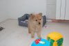 DSC_6414 — копия.JPG