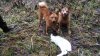 IMG-20191101-WA0000.jpg