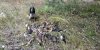 IMG-20191221-WA0013.jpg