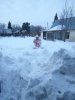 IMG-20200223-WA0011.jpg