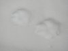 DSCN7691.JPG