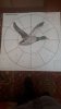 IMG-20200228-WA0000.jpeg