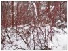0_19c29_20ee27fc_L.jpg