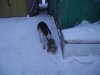 DSCF2180.JPG