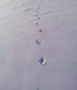 IMG_20140207_160300.jpg