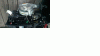 DSC_003.gif