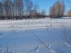 DSCN3623.JPG