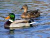 9587a33abc734ed67a79ee1ed0f76780-666x500.jpg
