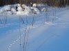 DSCN3621.JPG