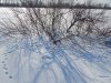 DSCN3637.JPG